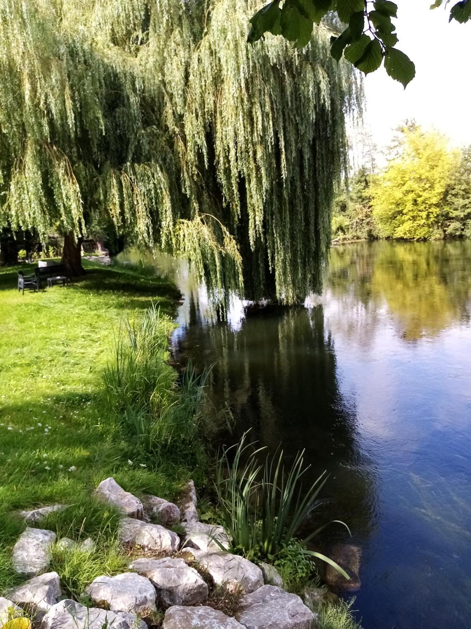 Havre De Paix Au Bords De L'Eure - Divers Hebergements Garennes-sur-Eure Ngoại thất bức ảnh